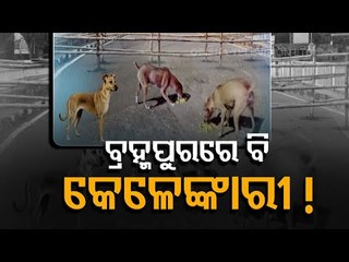 Berhampur-Corruption Alleged In Barricading During COVID Lockdown