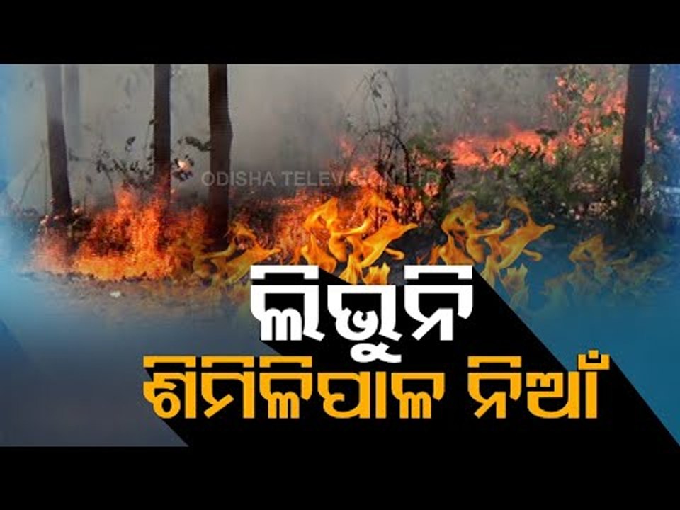 Massive Fire In Similipal | Odisha Sends Team To Control Fire | Latest Update