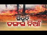 Similipal Forest Fire | Fire Fighting Operation Underway