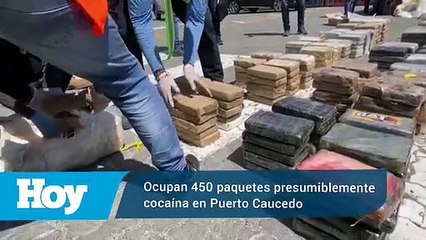 Ocupan 450 paquetes presumiblemente cocaína en Puerto Caucedo