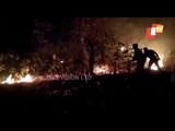 Forest Department & Sabuja Bahini Workers Try To Douse Similipal Wildfire