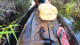 Ini Baru Najur !!! Full ikan dengan Teknik Tajur Ala Kalimantan #138