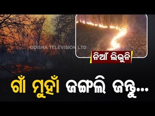 Similipal Wildfire Still Soaring