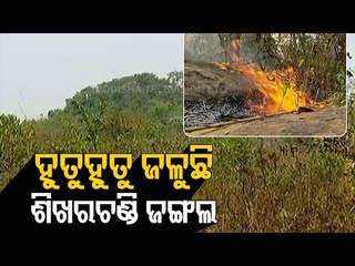 Fire Erupts At Sikharchandi Hills In Bhubaneswar