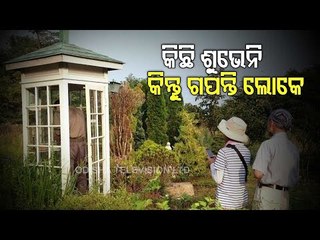 Special Story | Tsunami Survivors In Japan Call Lost Loves On Phone Of The Wind