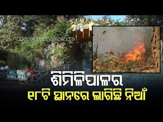 Wildfires Continue To Burn Red Hot In Similipal Reserve