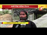 Women's Day-Story Of Woman Farmers In Koraput Breaking Stereotypes