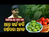 Special Story | Balasore Youth Becomes Successful Farmer Through Hydroponic Farming