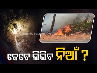 ODRAF Teams Join Firefighting Units To Battle Similipal Fire