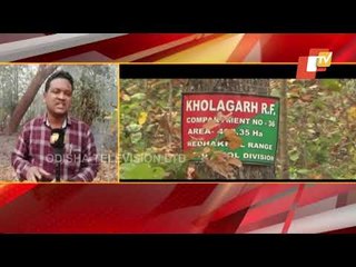 Rairakhol Forests Remain Under Grip Of Wildfire Despite Fight Ops