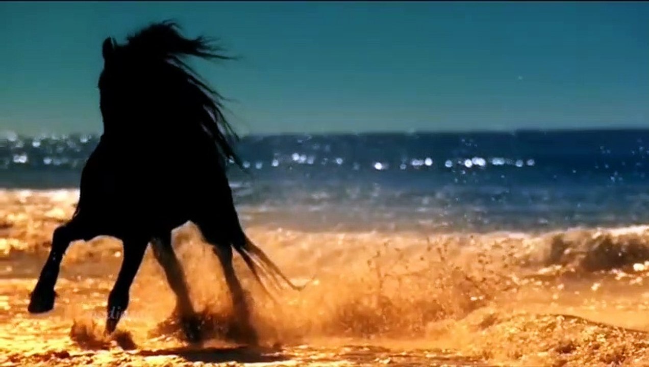 Neshooni - Persian Song (Official) HD | Charsi Thug