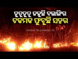 Odisha Forest Fire- Bolangir Forest Fire Rages | OTV Ground Report