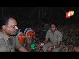 Similipal Forest Fire- Forest Officials Taking Food During Operation To Douse Wildfire