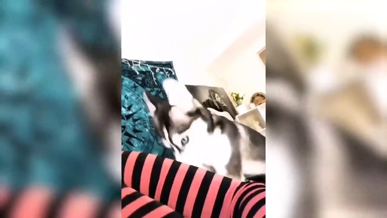 When You Have Three Cute Naughty Kids #7 - Funn...