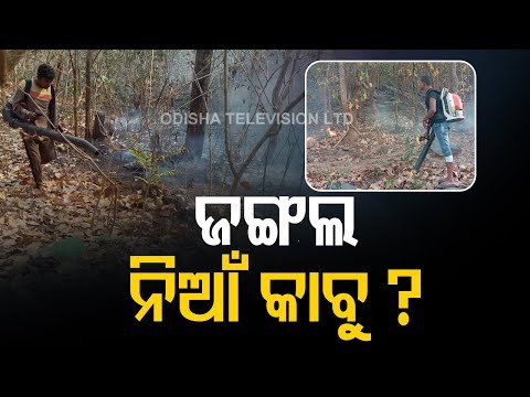 Team Of BJP MPs From Odisha Meet Minister Prakash Javadekar Over Simlipal Fire