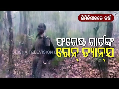 Watch Woman Forest Guard Dancing To The Tune Of Rain In Similipal