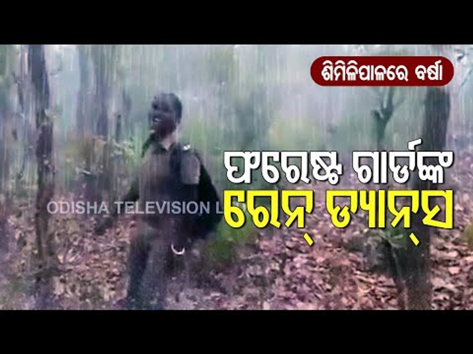 Watch Woman Forest Guard Dancing To The Tune Of Rain In Similipal
