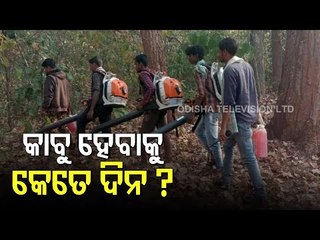 Yesterday's Drizzle Failed To Contain Fire In Simlipal - OTV Report