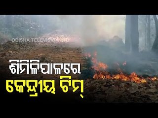 Similipal Wildfire | Top Central Team Members Arrive In Mayurbhanj To Assess Situation