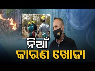 Reason Behind Wildfire In Simlipal Yet To Be Ascertained - OTV Report