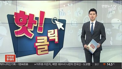 [핫클릭] 머스크, 비트코인 보유분 처분 시사…가격 급락 外