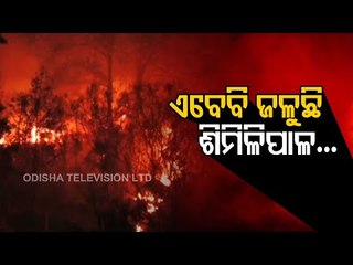 Similipal Wildlife Sanctuary Continues To Burn