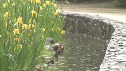 [날씨] 오늘 전국 산발적 비...한낮에도 서늘 / YTN