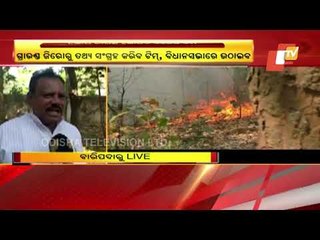 Similipal Fire | 13 BJP MLAs Reach Mayurbhanj, To Visit Similipal For Inspection