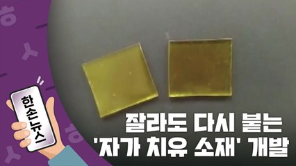 [15초뉴스] "잘랐는데, 저절로 붙는다"...국내 연구진이 개발한 '자가 치유 소재' / YTN
