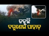 Fire Engulfs Barunei Hill In Khordha, Fire Fighters On Spot