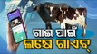 Youth Duped Of Rs 1 Lakh In Online Fraud On Pretext Of Cattle Sell