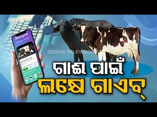 Download Video: Youth Duped Of Rs 1 Lakh In Online Fraud On Pretext Of Cattle Sell