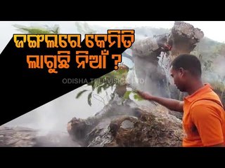 Similipal Fire- Task Force Team To Visit Fire Sites To Find Out Cause