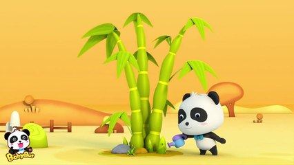 ❤ What Animals Eat  | Animation For Babies | BabyBus