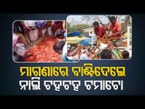 Farmers Distribute Tomatoes Free Of Cost In Due To Alleged Distress Sale In Sundargarh