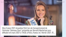 Miss Univers 2020 : Découvrez le classement de la France, Amandine Petit