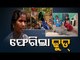 Seized 'Pet' Wild Boar's Emotional Homecoming - OTV Report From Keonjhar