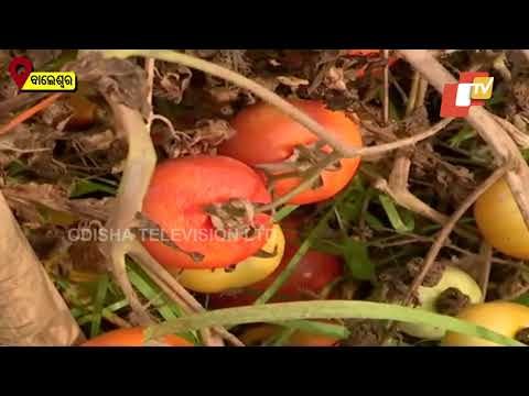 CM Naveen Comes Out From Naveen Niwas To Meet Protesting BJP MLAs