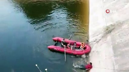 Duvar kenarındaki otlar sayesinde hayata tutundu