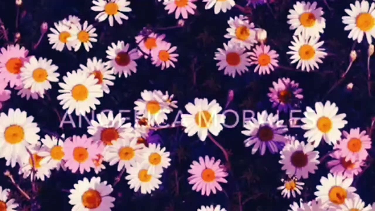 Freshman Tips For Highschool