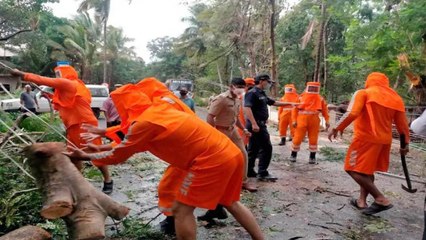 Cyclone Tauktae: Several trees uprooted in Mumbai