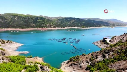 Yılda 5 bin 500 ton üretiliyor, yurt dışına gönderiliyor