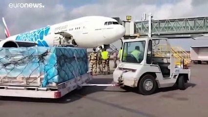 Борьба с пандемией в Индии: первые сдвиги