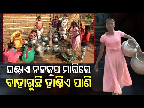 Special Story | Drinking Water Crisis Gives Sleepless Nights To Koraput Villagers