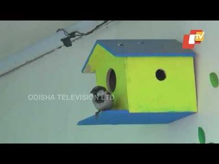 Goraiya Day- A Day Dedicated To Rare Bird Species To Be Observed In Kanpur