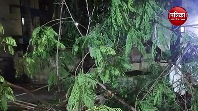 Video: Cyclone Tauktae के चलते मुंबई में भारी बारिश, कई जगह उखड़े पेड़, समुद्र में उठ रही ऊंची लहरें