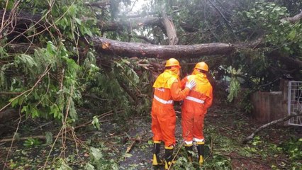 Tauktae wrecking havoc, what will happen after it leaves?