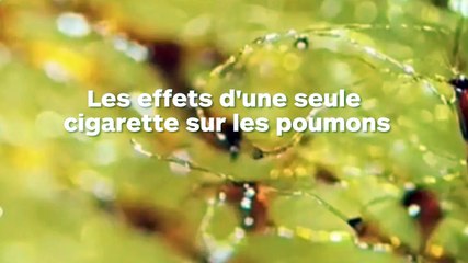 Les effets terribles d'une seule cigarette sur les poumons