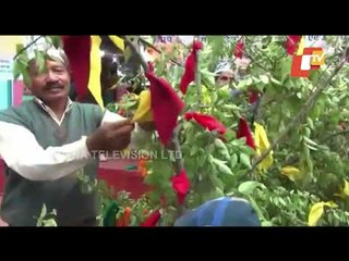 Holi Celebration Rituals Begins In Uttarakhand
