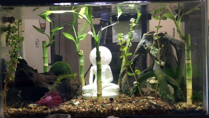 How To Build A Bamboo Backed Reflex Deflex Longbow